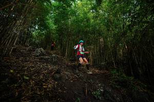 BIB: 
                            <button type="button" onclick="openModal(25100286)" class="btn btn-primary btn-sm float-right btn-popup" data-toggle="modal" data-target=".modal-high-quality">
                        <i class="fas fa-shopping-cart"></i> Add to Cart
                    </button>
                                            <button type="button" onclick="isThisMe(25100286, true)" class="btn btn-success btn-sm float-right btn-popup btn-isme hidden" data-toggle="tooltip" data-placement="bottom" title="นี่คือรูปของคุณใช่ไหม คลิกที่นี่เพื่อเอาเข้าอัลบั้ม">
                        <i class="fas fa-plus"></i> Add to album
                    </button>
                    <button type="button" onclick="isThisMe(25100286, false)" class="btn btn-warning btn-sm float-right btn-popup btn-isnotme hidden">
                        <i class="fas fa-ban"></i> Remove from album
                    </button>